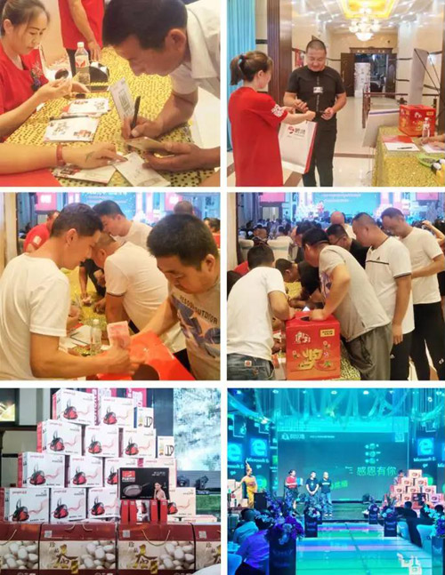 维多利亚老品牌vic板材土右旗店运动现场