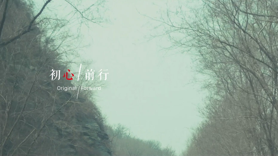 维多利亚老品牌vic(集团)官方网站