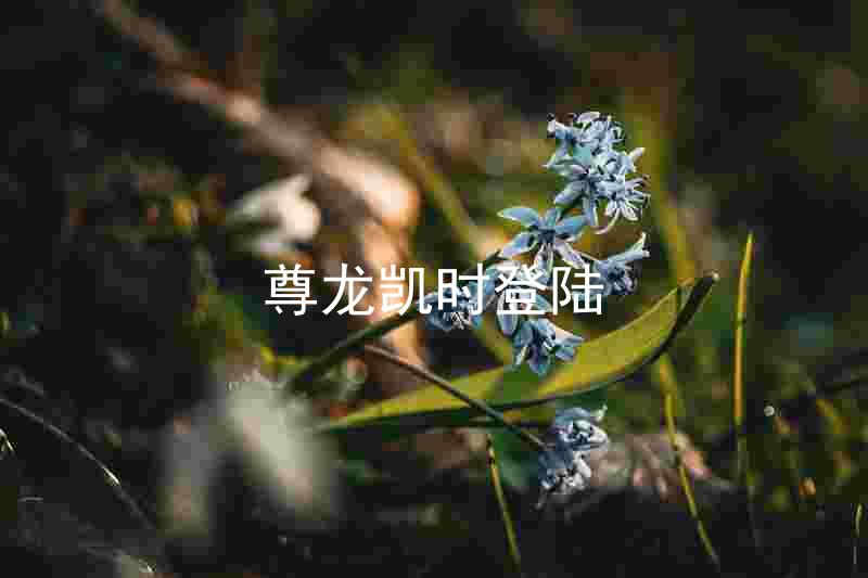 尊龙凯时登陆