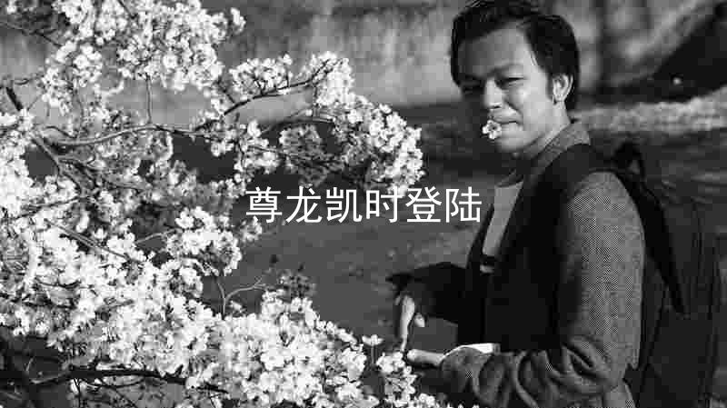 尊龙凯时登陆