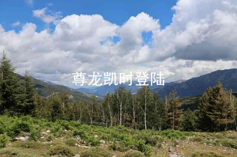 尊龙凯时登陆